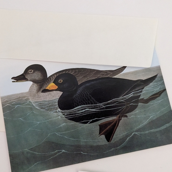 Audubon's Ducks Boxed Set Of Blank Note cards 5x7 Natl Gallery Of Art Set Of 14 - Picture 4 of 10